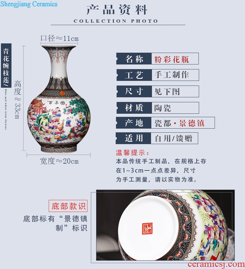 Jingdezhen ceramics vase furnishing articles enamel vase new Chinese style household adornment rich ancient frame porch decoration