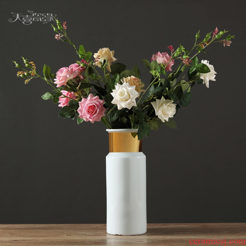 Jingdezhen European furnishing articles contracted ceramic creative living room table household adornment flowers planted porcelain vase