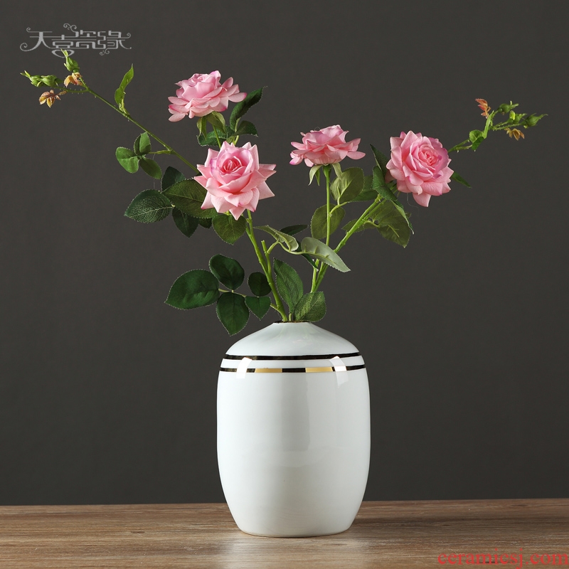 Nordic postmodern creative ceramic vase furnishing articles contracted sitting room of dry flower arranging hotel restaurant home decoration