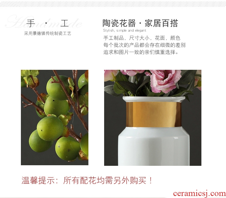 Jingdezhen European furnishing articles contracted ceramic creative living room table household adornment flowers planted porcelain vase