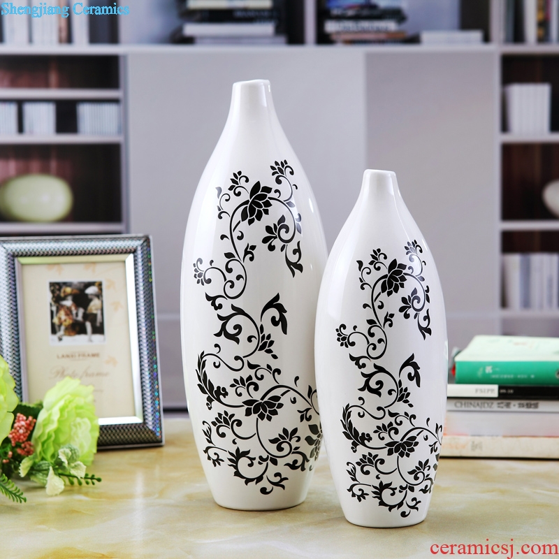 Contemporary and contracted sitting room ark creative arts and crafts porch place TV ark home decoration ceramic vase