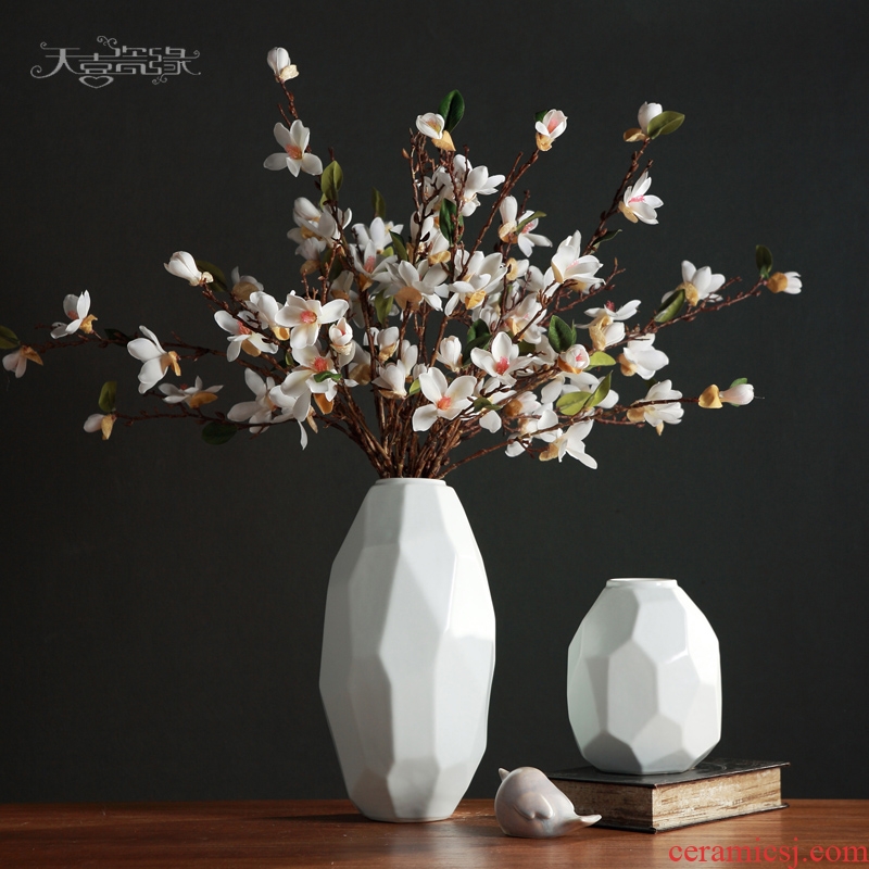 Nordic contemporary and contracted white ceramic vase furnishing articles European sitting room flower arranging dried flowers, household soft adornment