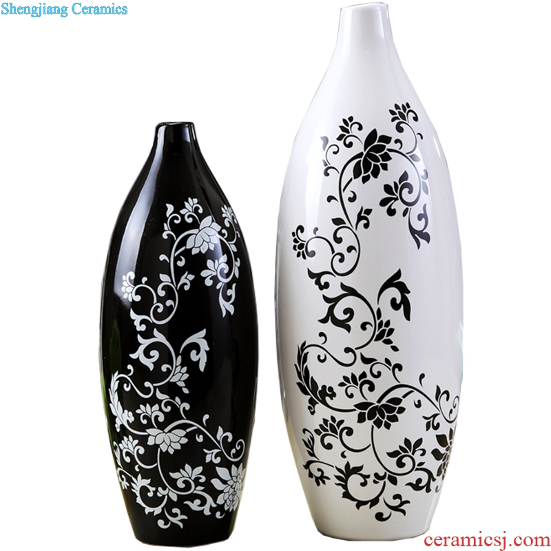 Contemporary and contracted sitting room ark creative arts and crafts porch place TV ark home decoration ceramic vase