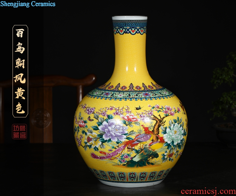 Jingdezhen ceramics of large vases, flower implement flower arranging living room home decoration ceramic bottle furnishing articles