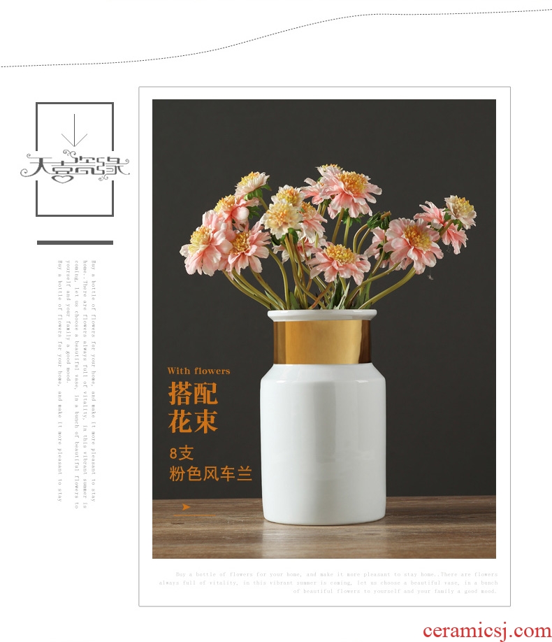 Jingdezhen European furnishing articles contracted ceramic creative living room table household adornment flowers planted porcelain vase