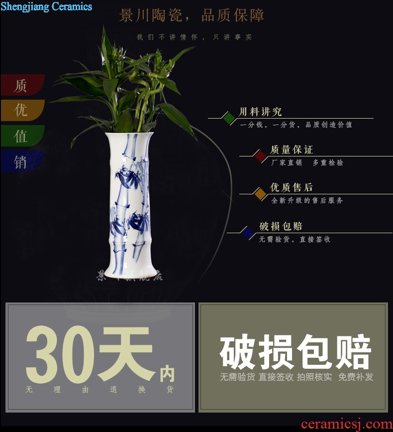 Jingdezhen ceramics lucky bamboo countertops contracted and pure and fresh and hydroponic flower arranging floret bottle home furnishing articles sitting room table