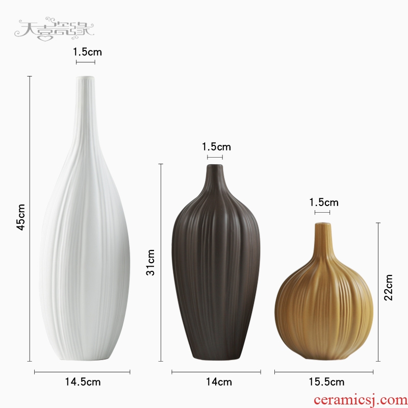 Nordic contracted ceramic vase zen household act the role ofing is tasted the sitting room TV cabinet example room decoration furnishing articles flower arrangement