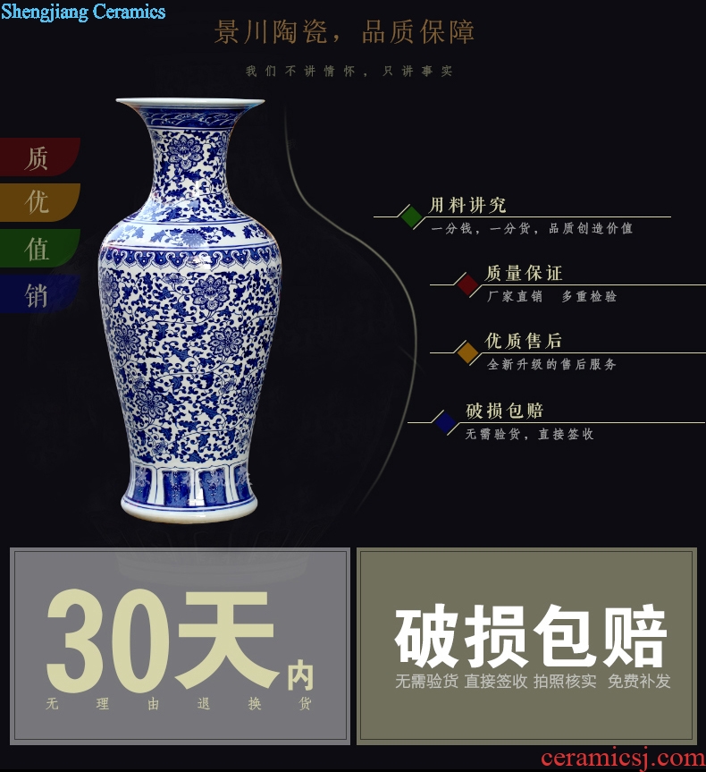 Hand-painted put lotus flower fish bottle of blue and white porcelain of jingdezhen ceramics landing sitting room feng shui big vase furnishing articles 67 cm