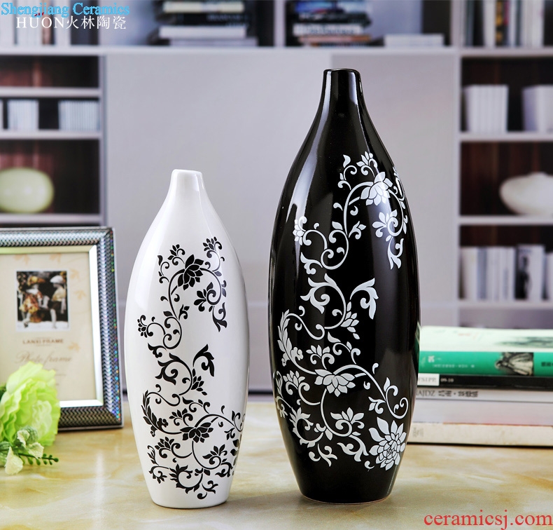 Contemporary and contracted sitting room ark creative arts and crafts porch place TV ark home decoration ceramic vase