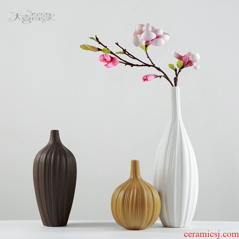 Nordic contracted ceramic vase zen household act the role ofing is tasted the sitting room TV cabinet example room decoration furnishing articles flower arrangement