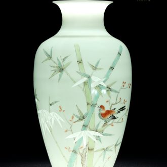Jingdezhen ceramic hand-painted and exquisite porcelain vase new Chinese style flower arrangement sitting room TV ark rich ancient frame handicraft furnishing articles