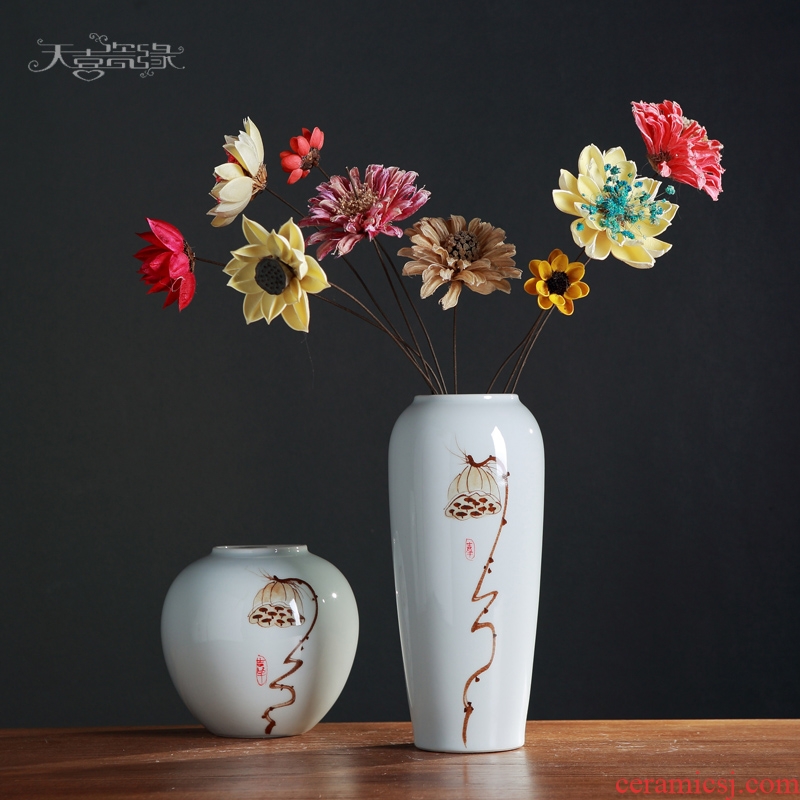 Contemporary and contracted Europe type ceramic vase hydroponic furnishing articles home sitting room TV cabinet table flower decorations