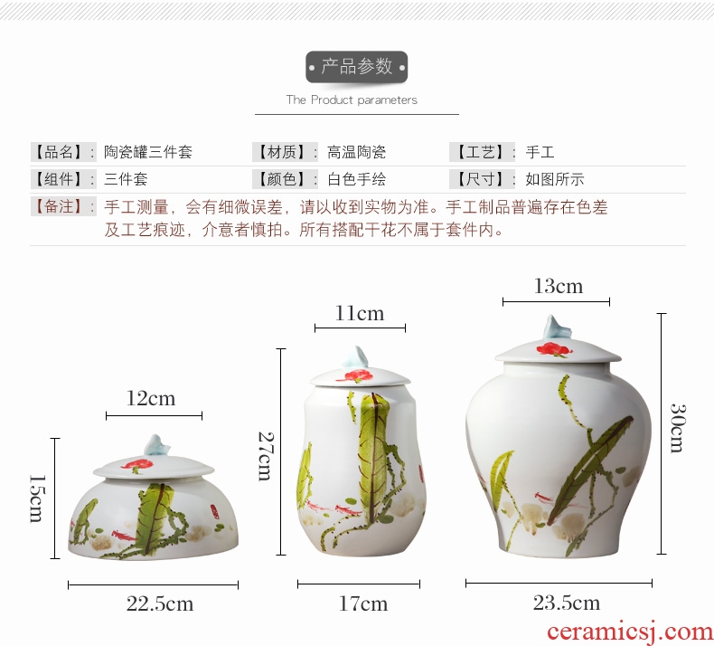 Jingdezhen Chinese hand-painted ceramic receive TV cabinet storage tank is the sitting room porch three-piece vase planting furnishing articles