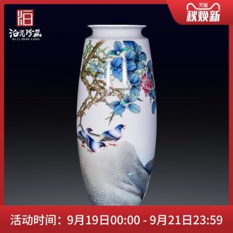 Jingdezhen ceramics hand-painted pastel flower arranging landing big new Chinese style household vase sitting room bedroom collection furnishing articles