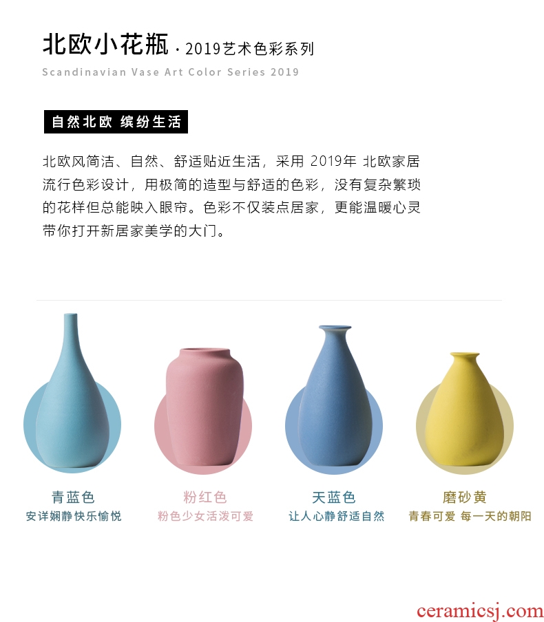 Nordic floret bottle decoration furnishing articles dried flower flower arranging ceramic table sitting room TV ark contracted creative home furnishings
