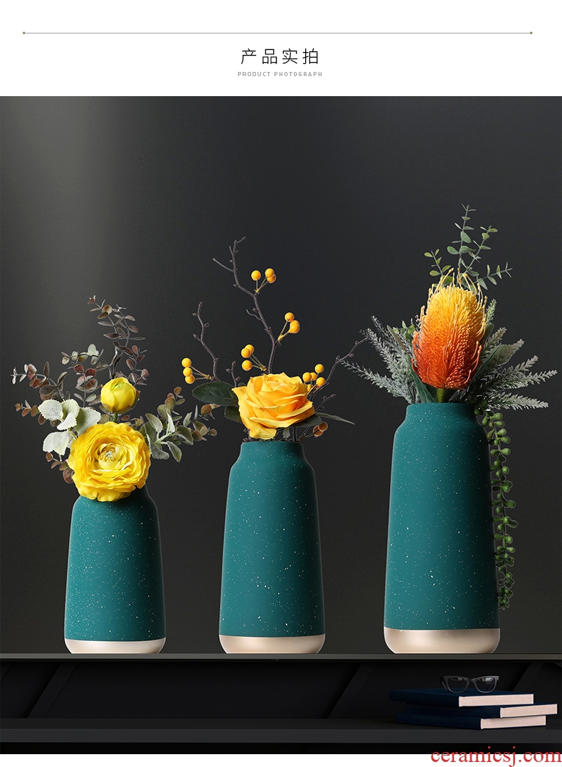 Vase furnishing articles sitting room flower arranging the Nordic ceramic household act the role ofing is tasted decorate the room TV cabinet desk dried flowers 砙 porch