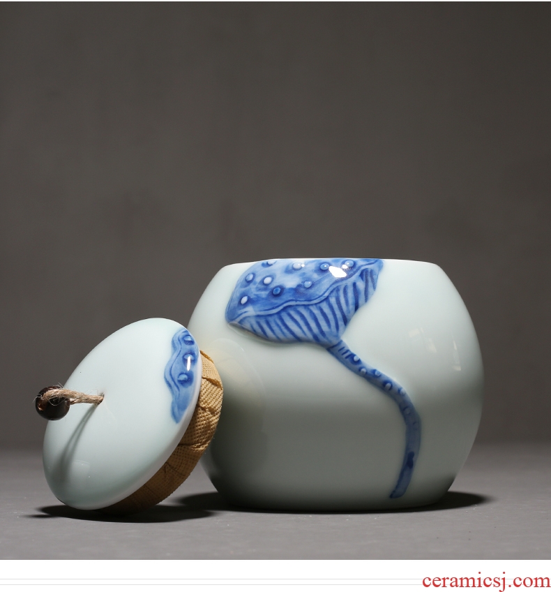 YanXiang fang blue and white hand-painted ceramic tea pot double tea pot tea tea urn seal storage tanks