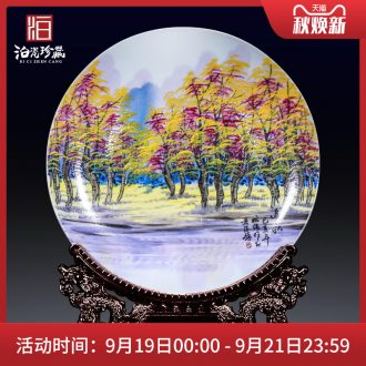 Jingdezhen ceramics of new Chinese style household wine sitting room decorate new home furnishing articles plate moved into small ornament