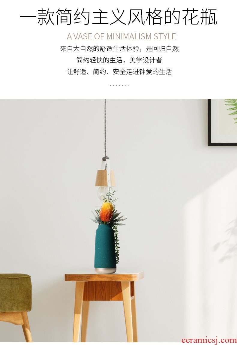 Vase furnishing articles sitting room flower arranging the Nordic ceramic household act the role ofing is tasted decorate the room TV cabinet desk dried flowers 砙 porch