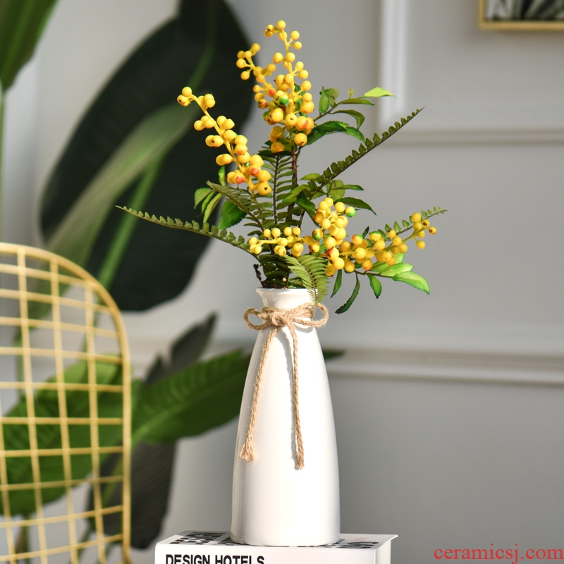 Ins the modern creative ceramic vase furnishing articles Jane the sitting room TV ark home decoration flower plants