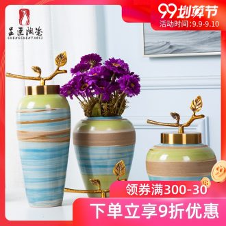 Jingdezhen porcelain furnishing articles sitting room tea table wine table decoration bottles character art vase color ceramic package