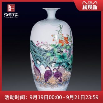 Jingdezhen ceramics hand-painted enamel vase furnishing articles flower arranging large sitting room be born home collection adornment