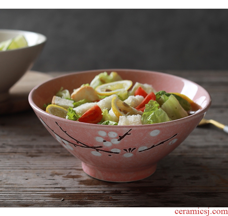 La rainbow noodle bowl hat to rainbow noodle bowl bowl beef home noodles bowl of soup bowl personality retro creative Japanese ceramics big rainbow noodle bowl