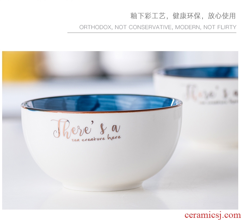 Jingdezhen Japanese hand-painted ceramic dish dish dish household creative personality a single tableware ceramic bowl noodles soup bowl