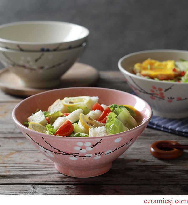 La rainbow noodle bowl hat to rainbow noodle bowl bowl beef home noodles bowl of soup bowl personality retro creative Japanese ceramics big rainbow noodle bowl