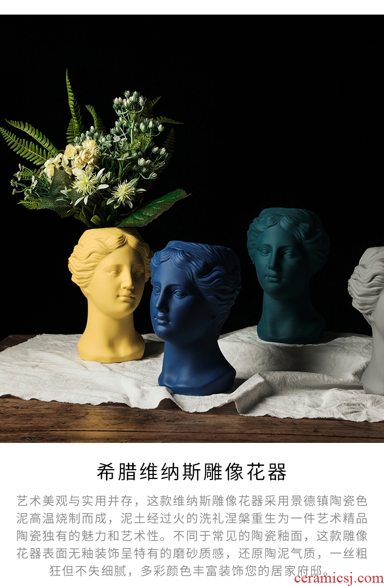 The modern creative furnishing articles furnishing articles flower arranging ins contracted sitting room Venus ceramic vase flower decorations