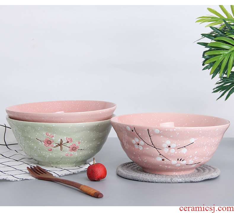 Jingdezhen ceramics for household jobs 5 inches large bowl of creative contracted rainbow noodle bowl bowl Japanese dishes