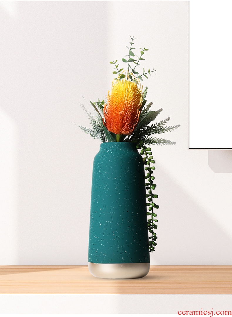 Vase furnishing articles sitting room flower arranging the Nordic ceramic household act the role ofing is tasted decorate the room TV cabinet desk dried flowers 砙 porch