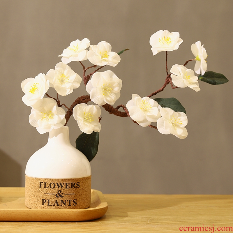 Japanese home stay facility ceramic vase literary desktop dried flowers letter bottle hydroponic wintersweet fake flower flower decoration