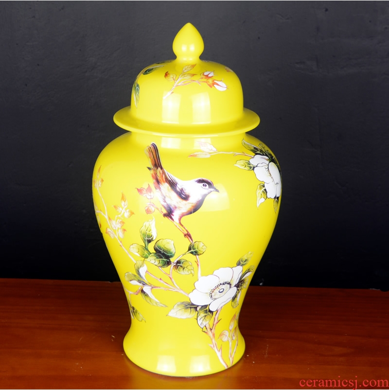 Jingdezhen porcelain pot vase flower arrangement sitting room of large storage tank wine household soft adornment is placed between example