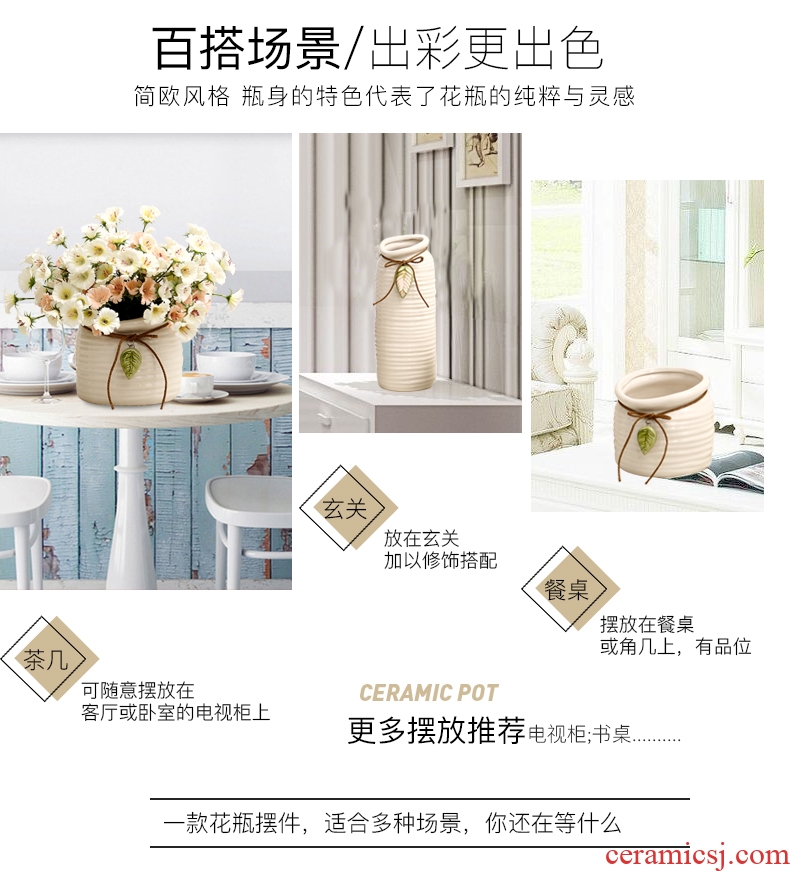 Jane's furnishing articles white rope ceramic vase living room table home decoration decoration hydroponic flower pot furnishing articles