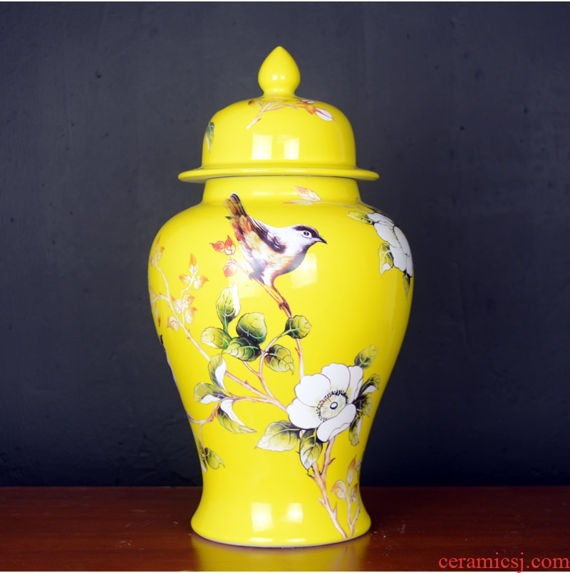 Jingdezhen porcelain pot vase flower arrangement sitting room of large storage tank wine household soft adornment is placed between example