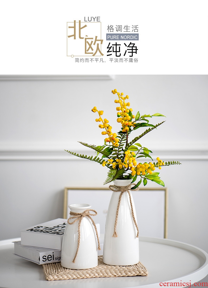 Ins the modern creative ceramic vase furnishing articles Jane the sitting room TV ark home decoration flower plants