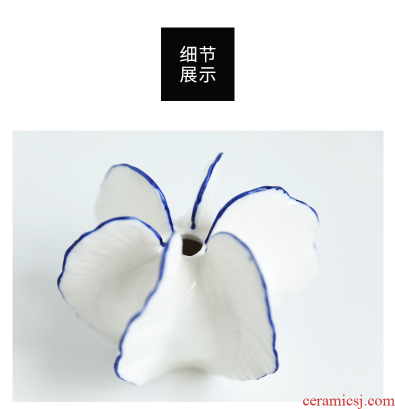 YANI yan have creative design contracted sitting room vase furnishing articles home decoration ceramic carambola flower arranging flowers