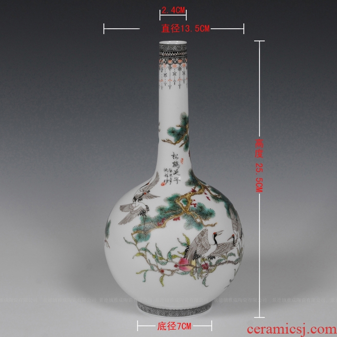 Master of jingdezhen ceramics hand-painted famille rose porcelain vase gall bladder classical household adornment handicraft furnishing articles