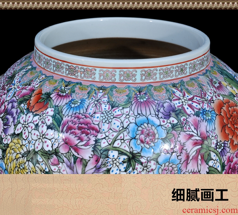Jingdezhen ceramics modern antique hand-painted famille rose flower is a lion the general pot of marriage room handicraft furnishing articles