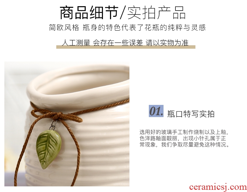 Jane's furnishing articles white rope ceramic vase living room table home decoration decoration hydroponic flower pot furnishing articles