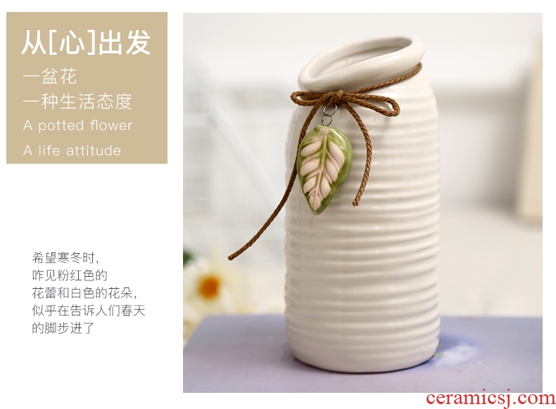 Jane's furnishing articles white rope ceramic vase living room table home decoration decoration hydroponic flower pot furnishing articles