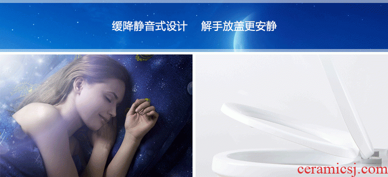 JingYan son back to the Chinese art of blue and white porcelain ceramic toilets siphon pumping ordinary household toilet implement
