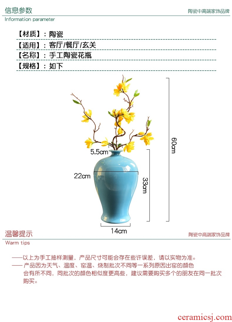 Postmodern new Chinese porcelain pot example room porch place nature science wearing small expressions using the big vase flowers, soft adornment - 44803911327