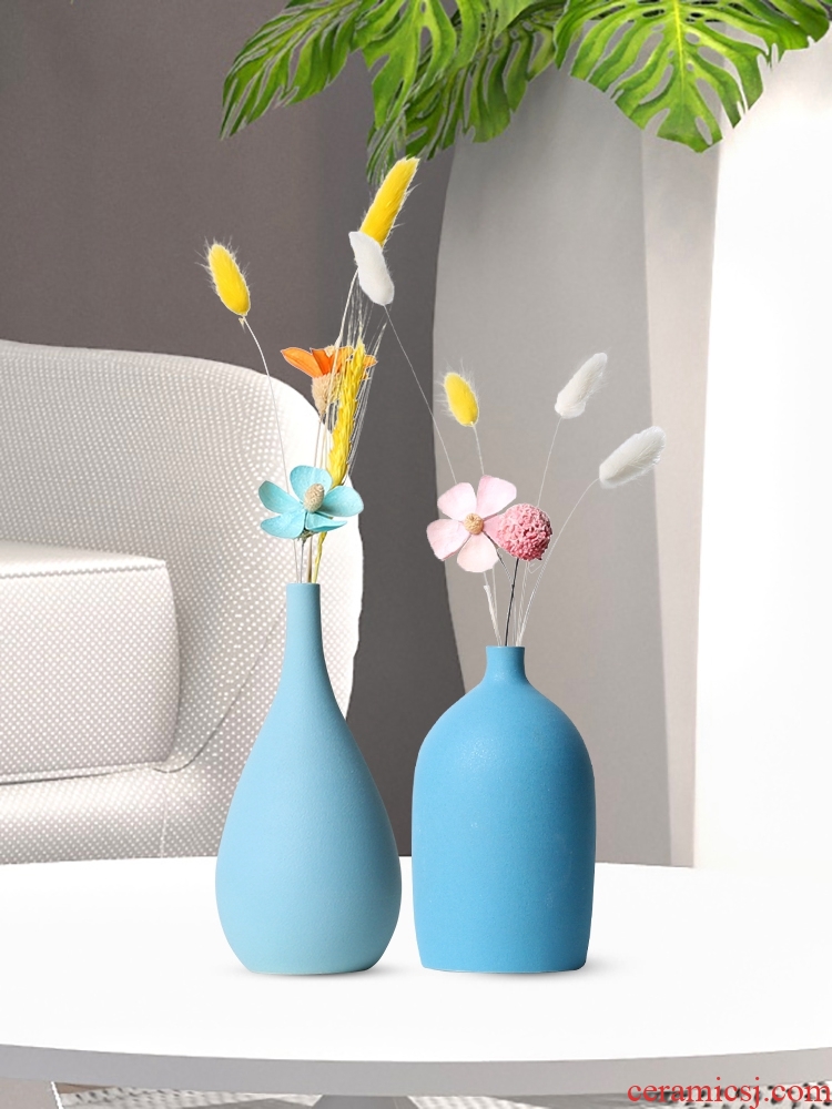 Floret bottle plug-in sitting room dry flower ceramic Nordic light TV ark, contracted and I key-2 luxury porch home furnishing articles