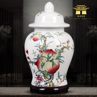 Jingdezhen ceramics green tea, black tea caddy fixings sealed tank storage tanks puer tea pot home furnishing articles