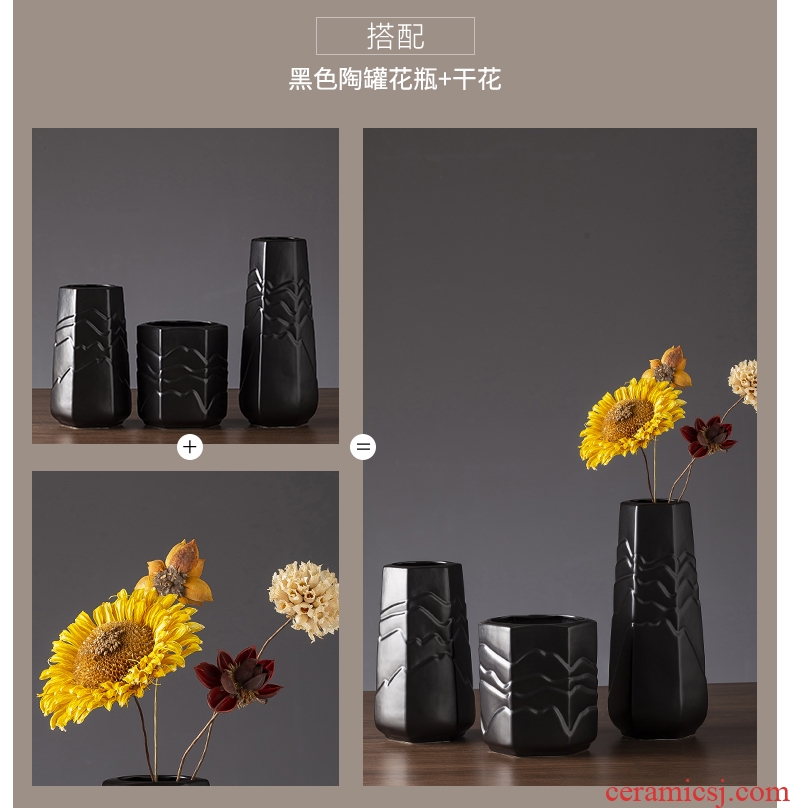 The new 2019 jingdezhen ceramic vases, I and contracted black zen dry flower vase creative furnishing articles in The living room