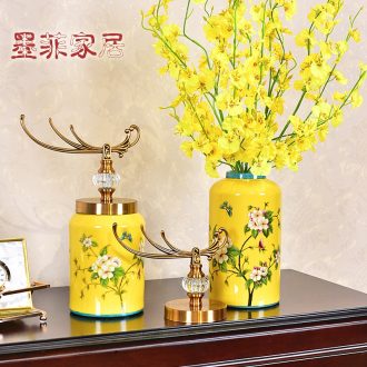 Murphy American light luxury ceramic vase receive a TV ark place new Chinese style the sitting room porch receive jar flower arrangement