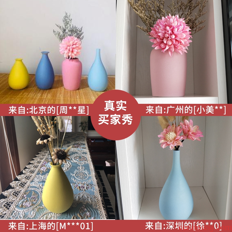 Nordic floret bottle decoration furnishing articles dried flower flower arranging ceramic table sitting room TV ark, contracted creative home furnishings