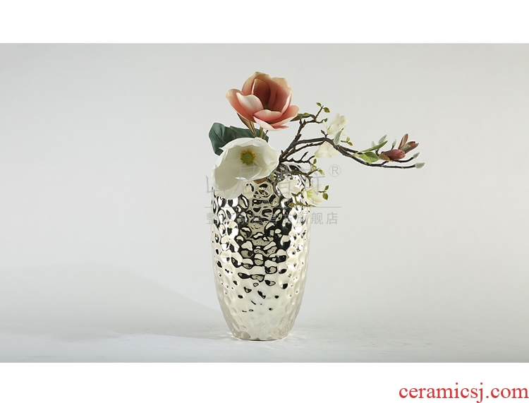 Nordic breeze ground ceramic vase planting dry flower is placed contracted and I sitting room flower arranging flowers large household decoration - 571778330810